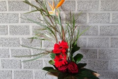 6B01_111207.Compositie