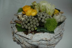 dsc_8123pasencompositie